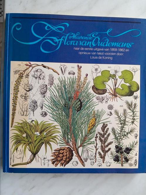 Atlas van  de FLORA VAN OUDEMANS naar de eerste uitgave, Boeken, Natuur, Zo goed als nieuw, Bloemen, Planten en Bomen, Ophalen of Verzenden