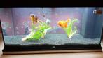 Juwel Aquarium Rio 180 - defecte lichtbalk, Dieren en Toebehoren, Ophalen, Gebruikt, Leeg aquarium