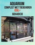 Aquarium met toebehoren, Dieren en Toebehoren, Ophalen of Verzenden, Gebruikt