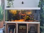 Juwel Rio 450, Ophalen, Gebruikt, Leeg aquarium
