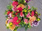 Dahlia's, Tuin en Terras, Planten | Tuinplanten, Ophalen, Zomer, Overige soorten, Volle zon