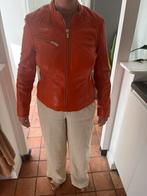 Leren jas nieuw, kleur Orange, maat L, Transmission, Maat 42/44 (L), Nieuw, Oranje