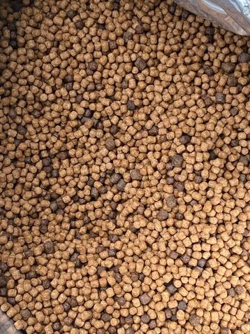 All season visvoer koivoer zink drijfvoer GRATIS VERZENDEN  beschikbaar voor biedingen