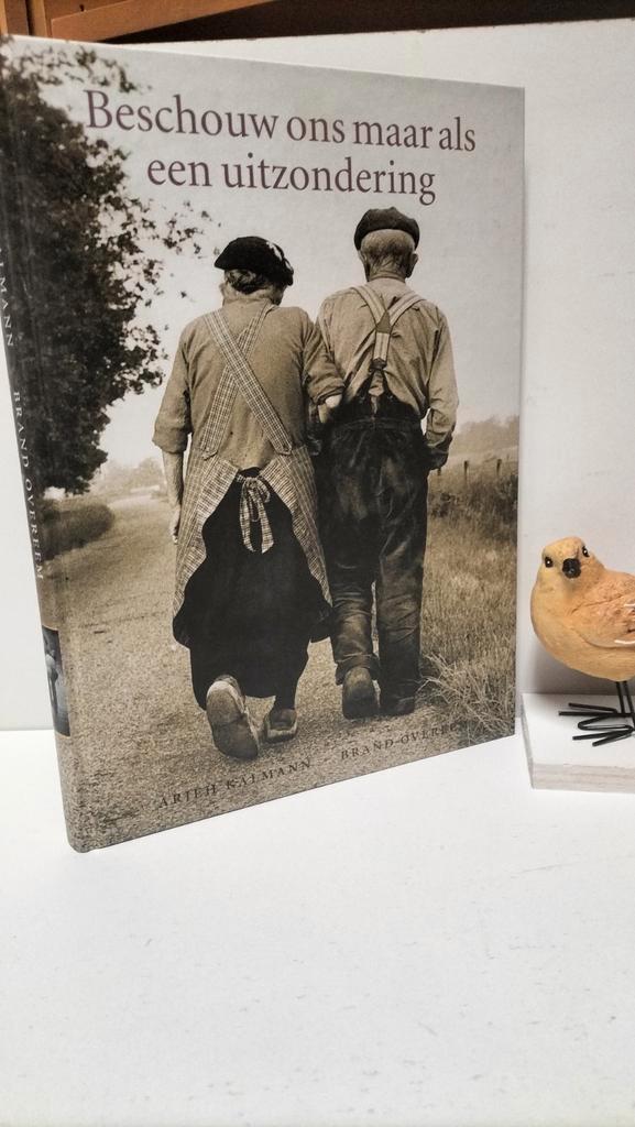 Kalmann, Arjeh e.a.; Beschouw ons maar als een uitzondering, Boeken, Geschiedenis | Stad en Regio, Gelezen, Ophalen of Verzenden