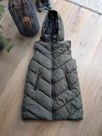 Mooie, nieuwe bodywarmer van JDY, maat M, Kleding | Dames, Bodywarmers, Ophalen of Verzenden, Nieuw, Groen