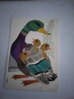 COR VAN VELSEN EEND MET 3 KLEINTJES  OP RUG  1973, Verzamelen, Ansichtkaarten | Themakaarten, Ophalen of Verzenden, 1960 tot 1980