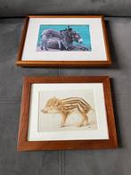 Twee ingelijste afbeeldingen, Minder dan 50 cm, Gebruikt, Ophalen of Verzenden, Foto of Poster