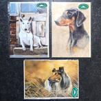 Pollyanna Pickering kaarten Dobermann Collie Bull Terrier, Ophalen of Verzenden, 1980 tot heden, Ongelopen, Hond of Kat