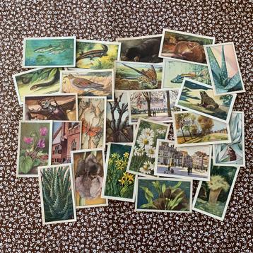 Vintage verkade plaatjes 25 stuks (journaling/scrapbooking) beschikbaar voor biedingen