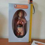 Menselijk lichaam met onderdelen ( ophalen), Ophalen of Verzenden, Zo goed als nieuw