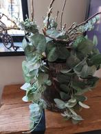 Kruik met planten, Ophalen of Verzenden, Zo goed als nieuw