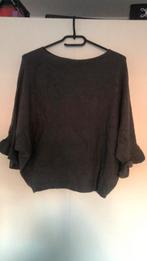 Savinni truitje, Kleding | Dames, Verzenden, Nieuw, Lange mouw, Grijs