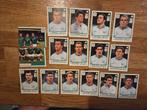 Panini EK 2012 Ierland, Verzamelen, Ophalen of Verzenden, Zo goed als nieuw, Buitenlandse clubs, Poster, Plaatje of Sticker