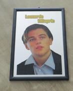 Barspiegel LEONARDO DI CAPRIO als jong broekkie, Ophalen of Verzenden, Zo goed als nieuw, Foto of Kaart