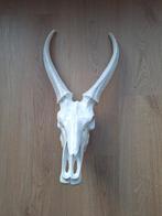 Wandhanger kunstof, Ophalen of Verzenden