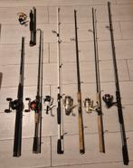 Grote roofvis set zie omschrijving, Watersport en Boten, Ophalen of Verzenden, Zo goed als nieuw, Complete set