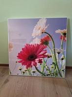 Schilderij, Foto, Wanddecoratie, Ophalen of Verzenden