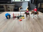 Playmobil Paarden Set, Ophalen of Verzenden, Zo goed als nieuw, Complete set