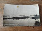 Nieuwkoop Zuideindsche plas, Verzamelen, Ansichtkaarten | Nederland, Ophalen of Verzenden