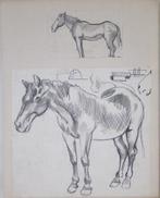 Hubert Bekman PAARD te limburg een potlood HB WERK tekening, Antiek en Kunst, Kunst | Tekeningen en Foto's, Verzenden