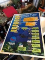 PADI opleiding poster., Watersport en Boten, Duiken, Ophalen of Verzenden, Zo goed als nieuw