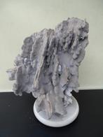 Blauw koraal, Ophalen