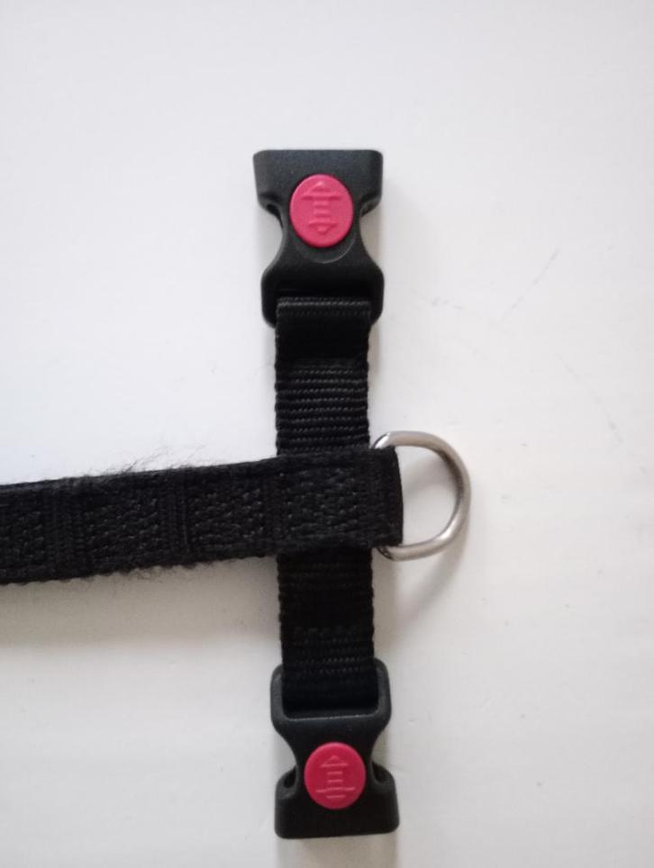 Hondentuig zwart met zekerheidssluiting formaat Heidewachtel, Dieren en Toebehoren, Honden-accessoires, Zo goed als nieuw, Ophalen of Verzenden