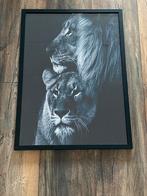 Afbeeldingen leeuwen, Huis en Inrichting, Woonaccessoires | Schilderijen, Tekeningen en Foto's, Ophalen, Schilderij, 50 tot 75 cm