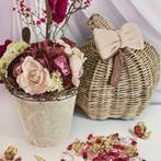 Rivièra maison pot& RM pompoen & RM strik & boekert, Ophalen