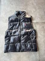 Polo Ralph lauren bodywarmer, Blauw, Maat 42/44 (L), Nieuw, Ophalen of Verzenden