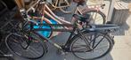 betavus cnctd, Ophalen, Gebruikt, Batavus, 57 tot 61 cm