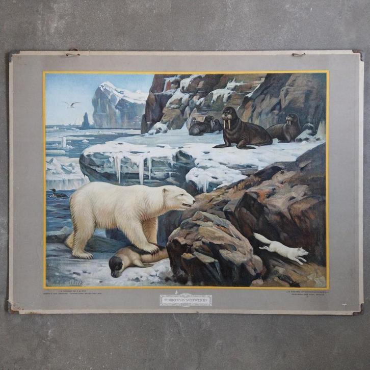 Schoolplaat Te midden van sneeuw en ijs – Koekkoek 1934, Antiek en Kunst, Antiek | Schoolplaten, Natuur en Biologie, Ophalen of Verzenden