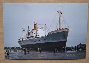 Foto's van gestrand schip Stardust bij 's-Gravenzande 1976 beschikbaar voor biedingen
