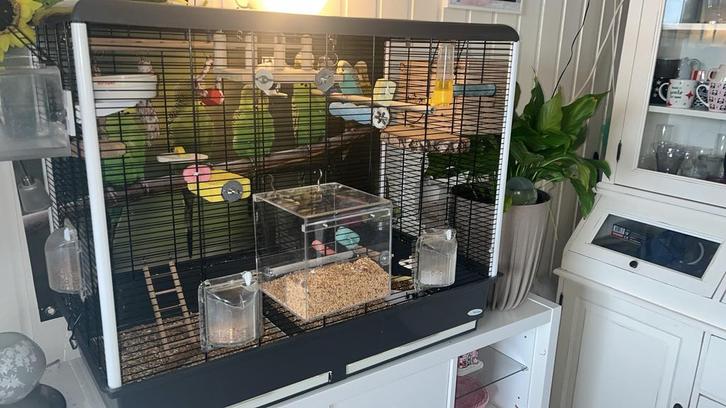 Vogelkooi piano 6, Dieren en Toebehoren, Vogels | Toebehoren, Gebruikt, Overige typen, Ophalen