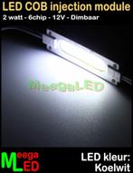 LED COB injection module 2W - 6 chip – IP54 – Wit 6500K, Huis en Inrichting, Lampen | Overige, Nieuw, LEDverlichting, Ophalen of Verzenden