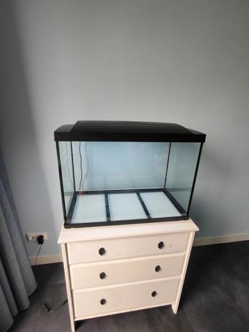 Mooi Superfish Start 100 aquarium; kan bezorgen evt. beschikbaar voor biedingen