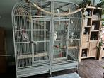 Grote vogel kooi, Dieren en Toebehoren, Vogels | Hokken en Kooien, Ophalen, Zo goed als nieuw, Vogelkooi