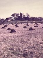 Fotootje Kerkje van Slappeterp uit 1965, 1960 tot 1980, Gebruikt, Foto, Ophalen of Verzenden