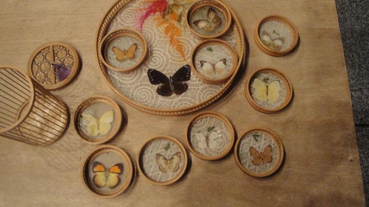 vintage vlinderset dienblad plus onderzetters, Antiek en Kunst, Curiosa en Brocante, Ophalen of Verzenden