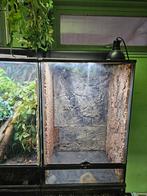 Exo Terra terrarium Large 90 x 45 x 60, Dieren en Toebehoren, Reptielen en Amfibieën | Toebehoren, Gebruikt, Ophalen