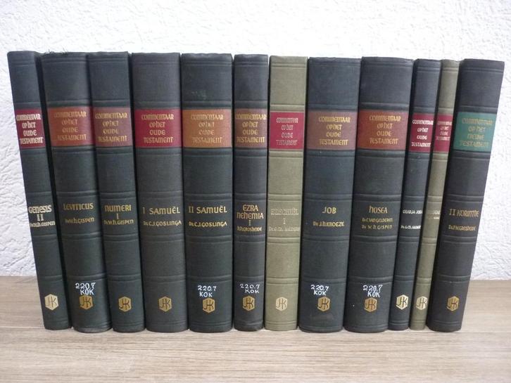 Commentaar op het oude Testament, Boeken, Godsdienst en Theologie, Gelezen, Christendom | Protestants, Ophalen of Verzenden