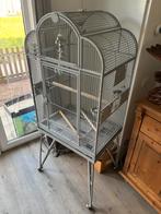 Grote vogelkooi papegaai enz, Dieren en Toebehoren, Ophalen of Verzenden, Zo goed als nieuw, Metaal, Vogelkooi