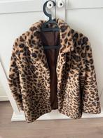 Vest / jas luipaardprint M, Ophalen of Verzenden, Zo goed als nieuw