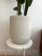 De iconische Bloempot Dijon van Kwantum, Tuin en Terras, Bloempotten, Ophalen, Rond, Zo goed als nieuw, Minder dan 25 cm