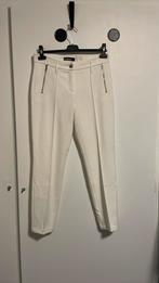 Cambio broek 36, Ophalen of Verzenden, Zo goed als nieuw, Maat 36 (S), Lang