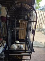 Vogelkooi, Ophalen of Verzenden, Zo goed als nieuw, Metaal, Vogelkooi