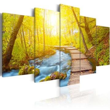 454 Bomen Pad Natuur 5 Luik Canvas Schilderij XXL 200x100cm beschikbaar voor biedingen