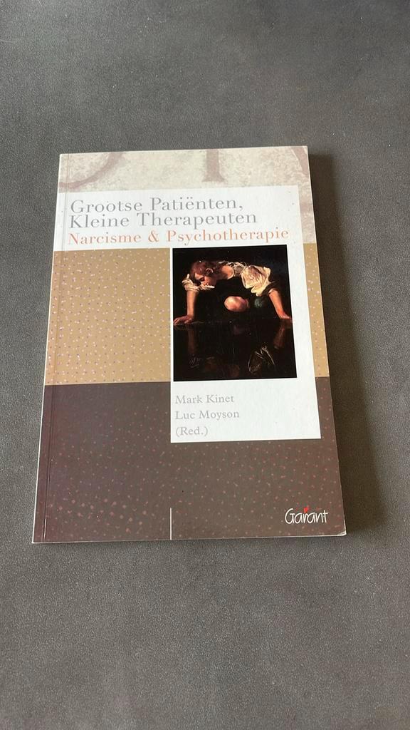 Grootse patienten, kleine therapeuten, Boeken, Psychologie, Nieuw, Ophalen of Verzenden