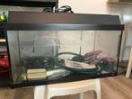 Aquarium, Dieren en Toebehoren, Vissen | Aquaria en Toebehoren, Ophalen, Gebruikt, Leeg aquarium