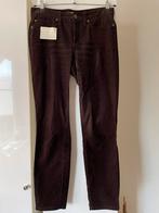 Cambia broek maat 38 bruin, Gedragen, Ophalen of Verzenden, Bruin, Cambio